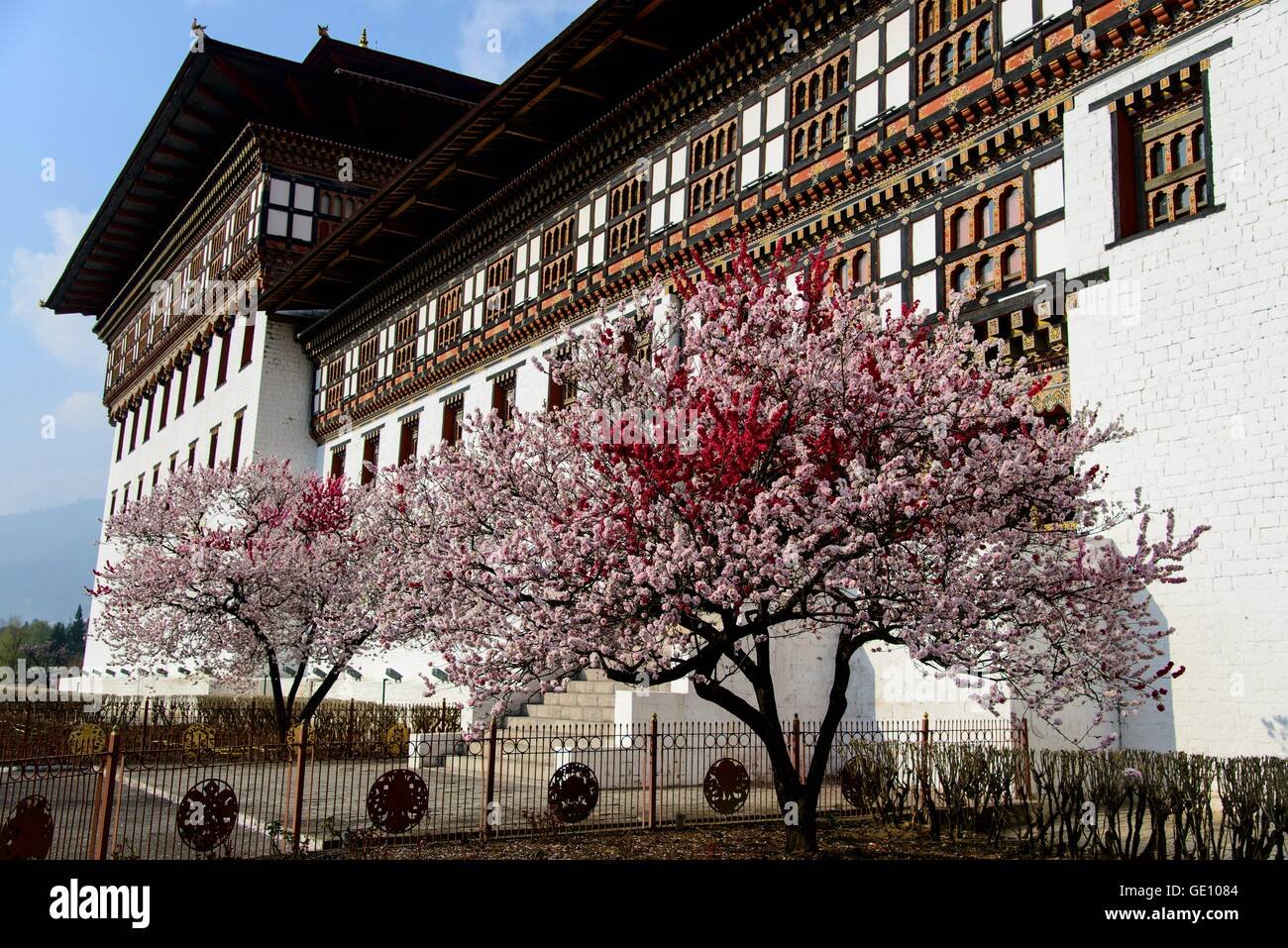Scenic Bhutan landscape